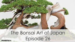 The Bonsai Art of Japan - Episode 26