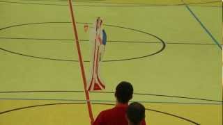 World Championship F3P 2013 - N. Strebel