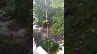 Внимание, девушка,которая идёт вовсе не девушка!
