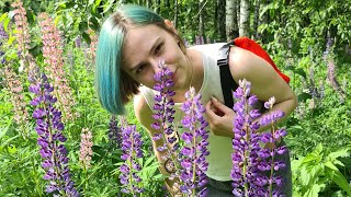 Yoll стрим с Дашей Левис из комариного логова в гости к сове-негодове