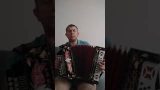Я встретил Розу. Под гармонь