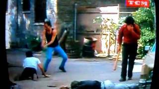 Escena de Steven Seagal en la película Nico