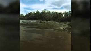 Камера GoPro Попала Крокодилу в Пасть!