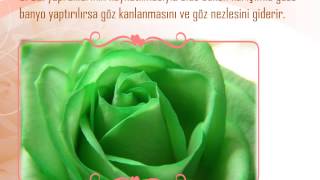 Gülün Faydaları