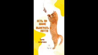 Есть ли шанс выиграть в лотто?