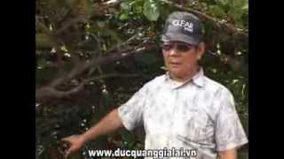 Máy đào bồn cà phê phiên bản 2014
