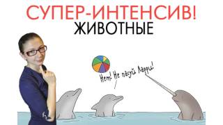 Интенсив "Животные"