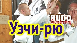 Особенности школы уэчи-рю. Евгений Рыбин