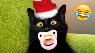 Funniest Cats And Dogs Videos - Best Funny Pet Videos 2021 ????