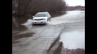 Риск -дело благородное !!!