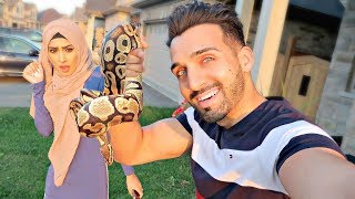 SNAKE PRANK On FROGGY (Jumping Reaction!!)