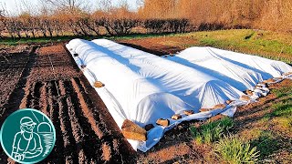 Посев семян томатов без рассады в парник своими руками Посадка-выращивание безрассадных томатов
