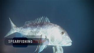 Dentex 58m - deepest snapper catch ever, freediving