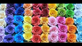 How to make MFT Die-namics Mini Royal Roses