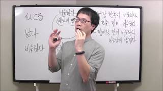 「似てるよ」비슷하다/같다/닮다　使い分け