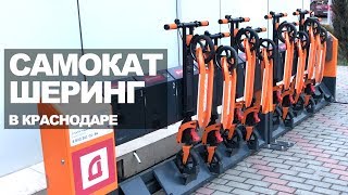 Как перемещаться по Краснодару без пробок? Цены на аренду самокатов от Samocat Sharing в Краснодаре.