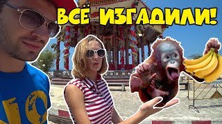 ИЗ ПАТТАЙИ В БАНГКОК НА МАШИНЕ | АД И РАЙ | ГОРА ОБЕЗЬЯН | КЛАДБИЩЕ В ТАИЛАНДЕ