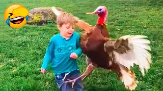 Best Funny Animal Videos 2022 ???? - Funniest And Cute Cats And Dogs Videos