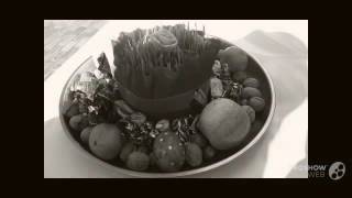 Novruz