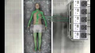 Cryonics - визуализация крионирования