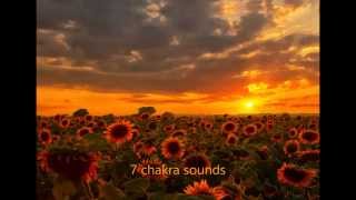 7 seven chakras Sounds ,Тibetan singing bowl. Звуки 7 семи чакр.