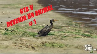 # 1 DEVENIR UN CORMORAN  - GTA 5 NEXT GEN