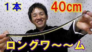 【バス釣り】40cmぐらいあるワーム持ってるけど見ていかない？
