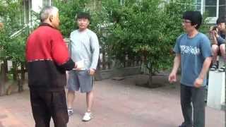 태극권( application of taichi)