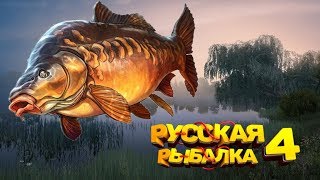 Русская рыбалка 4 Трофейный Елец где ты?