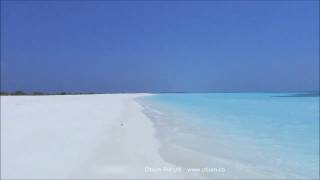 Vilu Beach - Maldives - Fulhadhoo - Surrounding (Sandbank)