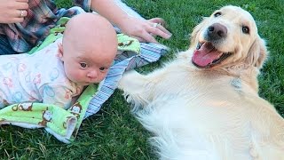BABY MEETS NEW DOG!