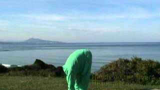 Dao yin yang sheng gong - 13 movements ...