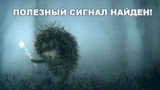 Борьба с наводками при проведении измерений осциллографом. Часть 2.