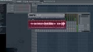 Fl Studio and Positive Grid - BIAS Professional