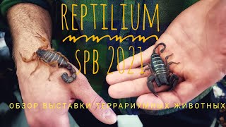 Рептилиум весна-2021 Питер. Обзор выставки террариумных животных и аксессуаров
