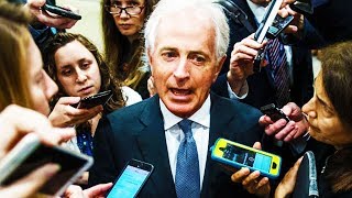 Republican Senator Says Trump Is Debasing Nation!