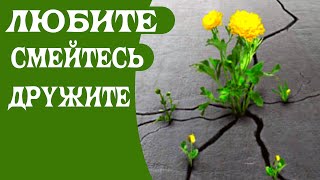 Невероятно ☄️ глубокое и пронзительное  ☄️ стихотворение