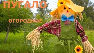 Забавное и Смешное Пугало Огородное