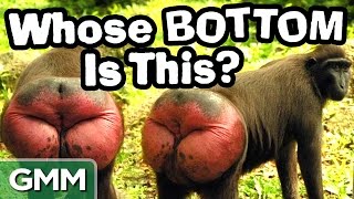6 Most Bizarre Kids Books
