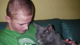 Tibulinnu 30.04.1990-02.06.2010