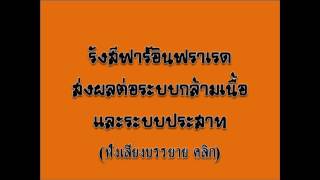Far infrared (FIR) ส่งผลต่อระบบกล้ามเนื้อ และระบบประสาท