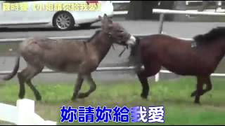 硬生生騎上去 逞慾齜牙淫笑 「牠射了 太慢了」--蘋果日報20160309