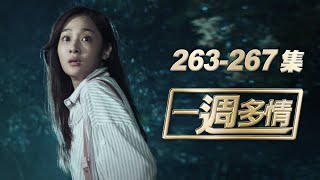 一週多情 EP263-267 | 記憶恢復加烈卻遭撞失明！小飛聖母光環大噴發！