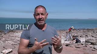 Argentina: Scientists uncover bones of giant dinosaur in dry reservoir bed near Neuquen