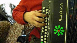 Упражнения для начинающих гармонистов