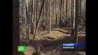 Лазарет военнопленных Цайтхайн