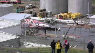 The Art of Cutting Whale