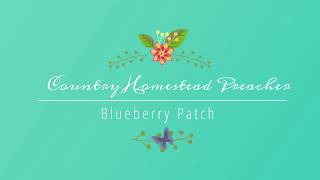 Blueberry Patch come sit a spell!!