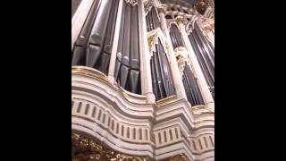 RIEGER ORGEL WENEN ORGANIST STEVEN VAN KEMPEN