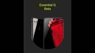 Essential PH 1 | Install Android Q Beta 4 in 2 easy steps